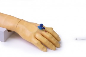 Training arm for intravenous injection and infusion