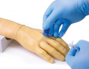 Training arm for intravenous injection and infusion
