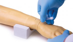 Training arm for intravenous injection and infusion
