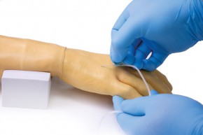 Training arm for intravenous injection and infusion