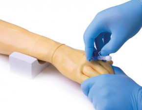 Training arm for intravenous injection and infusion