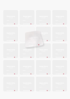 TRAINI-FENTA Transdermales Pflaster 100 Stück